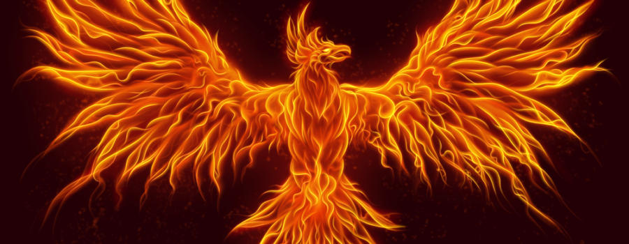 The Phoenix May Be Rising
