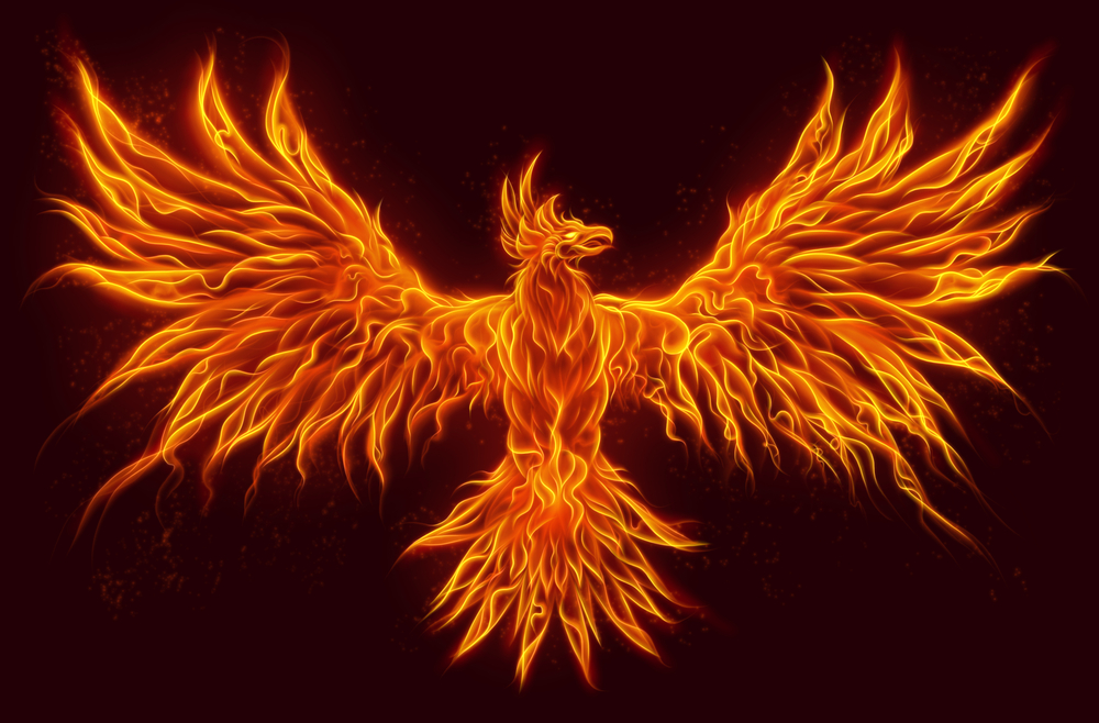 The Phoenix May Be Rising