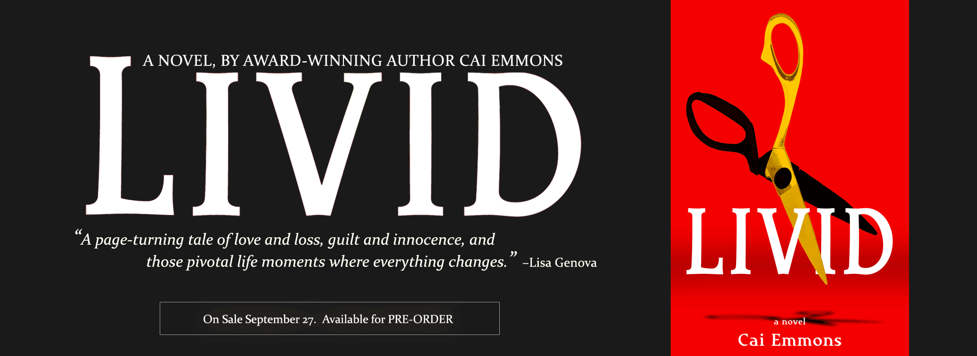 LIVID, a novel by author Cai Emmons