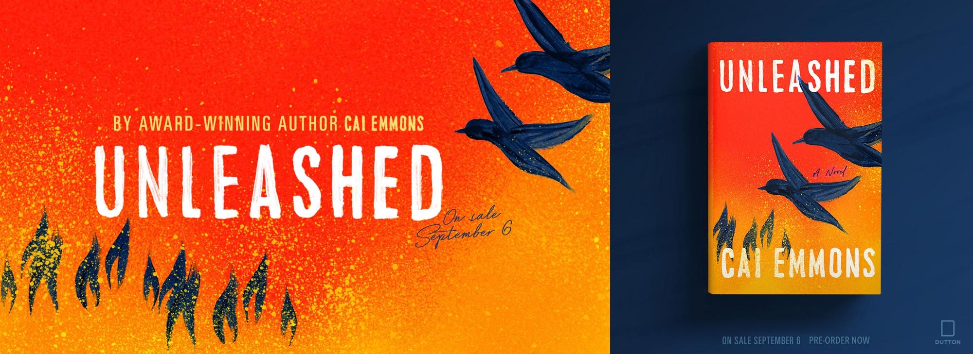 UNLEASHED, a novel by author Cai Emmons